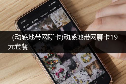 （动感地带网聊卡)动感地带网聊卡19元套餐